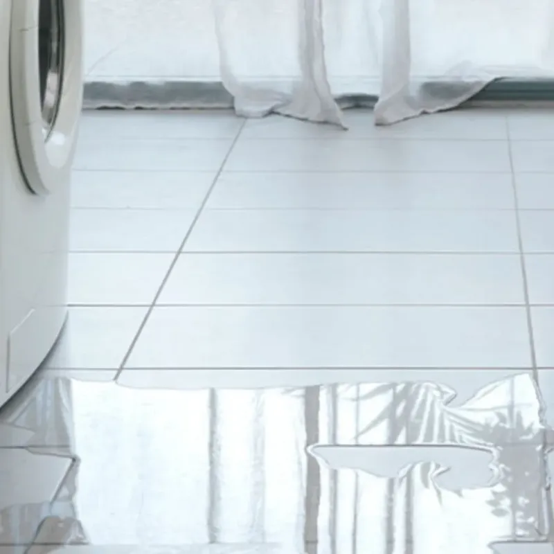 Appliance Leak Cleanup in Philadelphia, MS