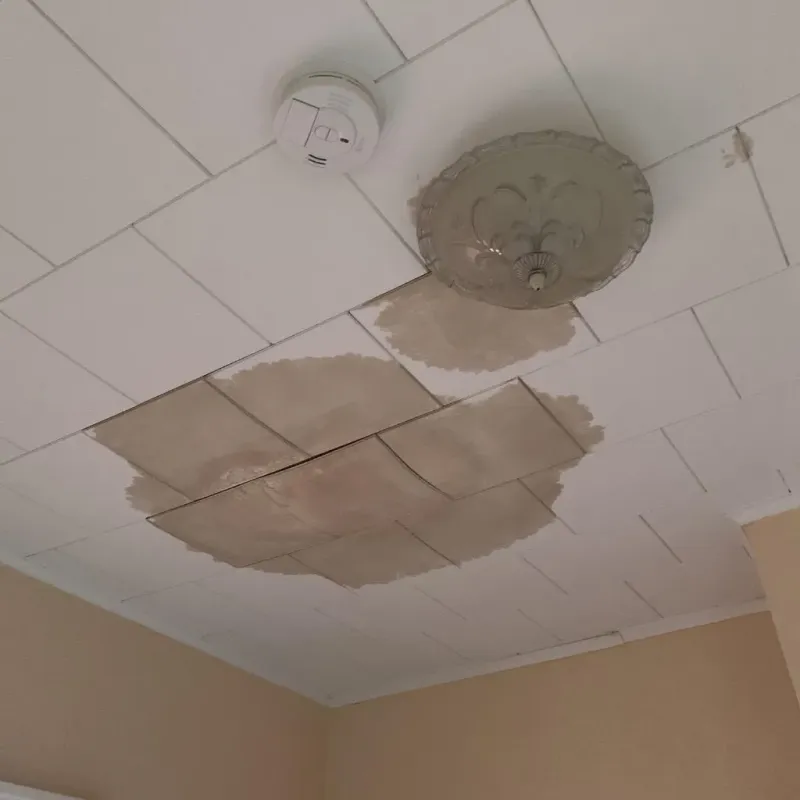 Ceiling Water Damage Repair in Philadelphia, MS