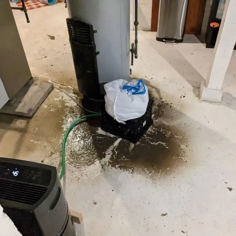 Sewage Backup Cleanup Service in Philadelphia, MS